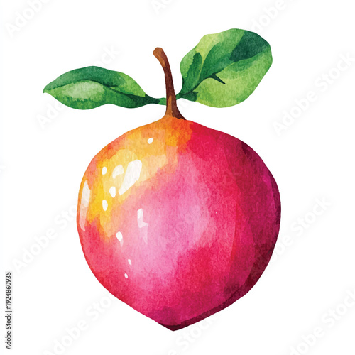 Watercolor Painting of a Pink Fruit with Green Leaves