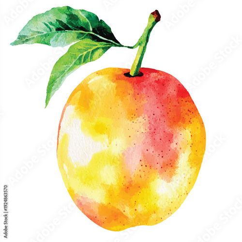 Watercolor Plum with Vibrant Yellow and Red Hues