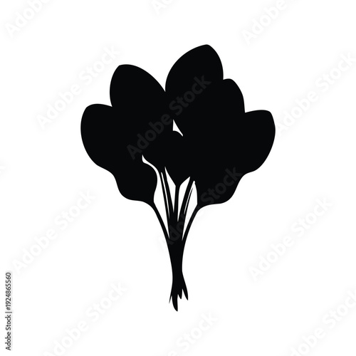Close-up view of leafy green vegetable with detailed texture silhouette vector illustration, spinach silhouette vector illustration