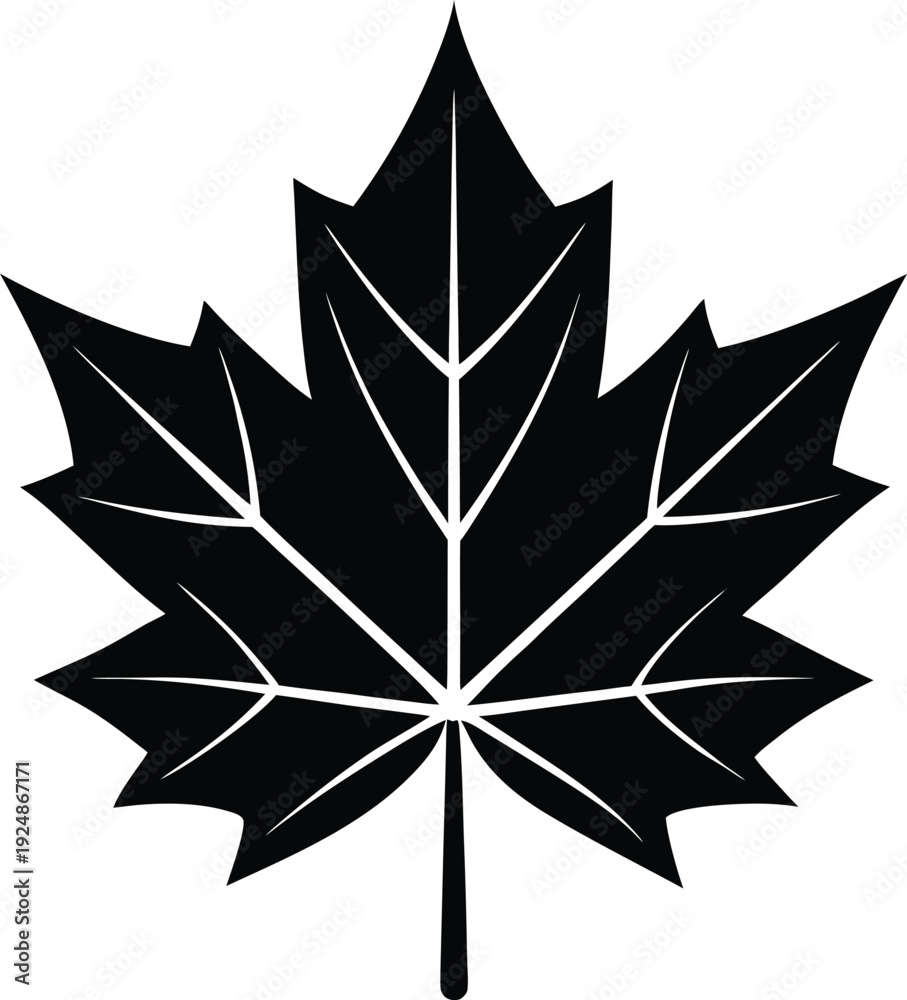 Obraz premium Minimalist black maple leaf silhouette vector with white veins