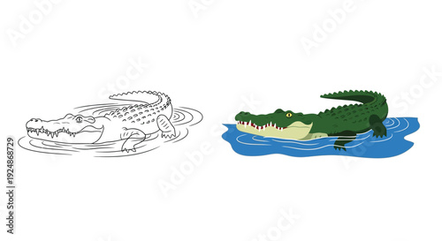 Vector graphic illustration set displaying a happy green crocodile swimming in water alongside its black and white outline version for coloring pages