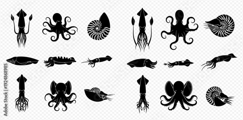 Set of various cephalopod silhouettes including squids, octopuses, cuttlefish, and nautilus on a transparent background.