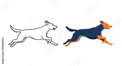 A dynamic vector illustration showcasing two running dogs, one in a clean black outline and the other fully colored, ideal for pet-related graphic design projects requiring playful animal motion.