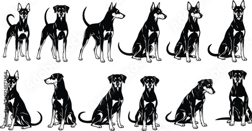 Dog silhouette illustration set, twelve canine figures, black and white artwork, pet breed posture design, animal anatomy vector, artistic concept