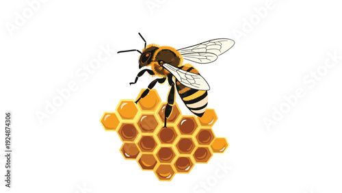A detailed and realistic illustration of a honey bee sitting on a piece of golden yellow honeycomb, isolated on a white background.