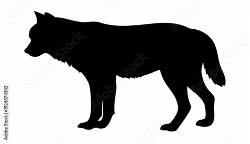 Majestic wolf silhouette standing in alert posture