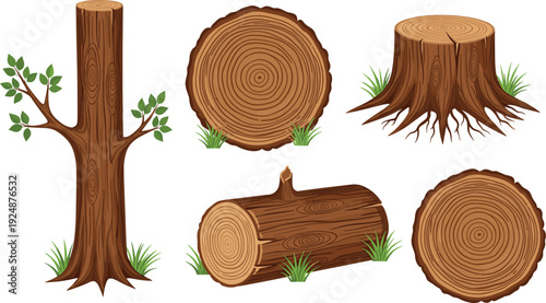 Tree stump and wood log collection with cut tree trunk rings natural timber illustration forestry elements isolated vector set
