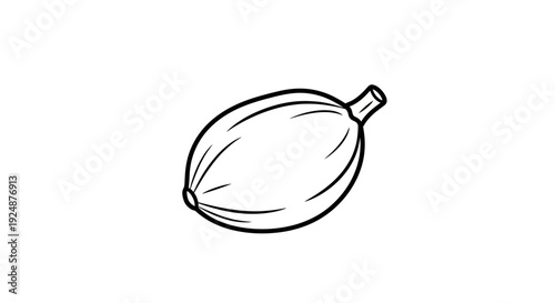Simple Line Drawing of a Single Cardamom Pod on White Background