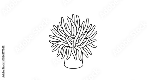 Sea Anemone Outline Icon, Marine Life, Underwater Creature, Simple Vector Illustration
