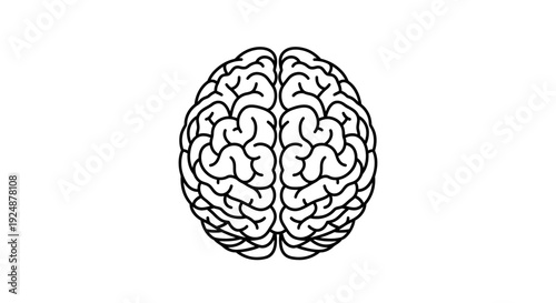Minimalist black and white illustration of a human brain, top view, symbolizing ideas and intelligence.