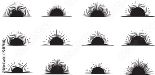 Collection of various black eyelash extensions on white background