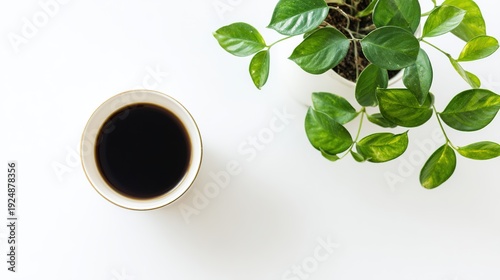 Minimalist workspace with coffee cup and greenery, showcasing simplicity and productivity from above.