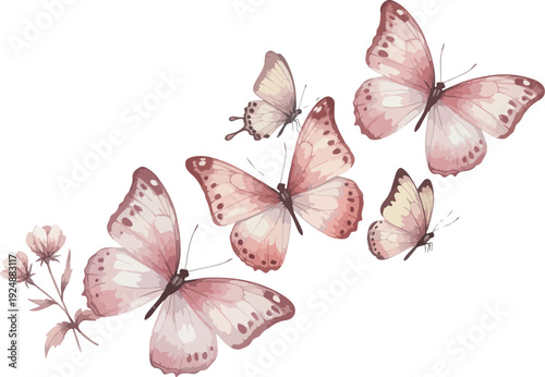 Soft Pink Butterflies Fluttering Delicate Floral Branch Isolated