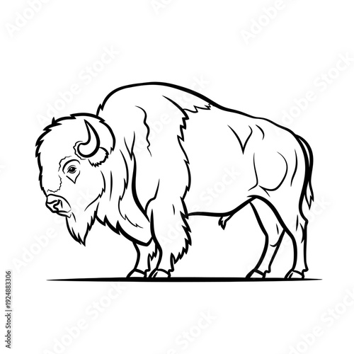 American Bison Line Art Illustration Standing Side View.