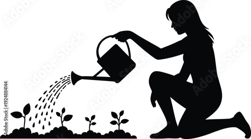 Woman watering plants in garden with watering can silhouette on transparent background