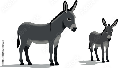 Two Gray Donkeys Isolated On White Flat Design Vector Illustration