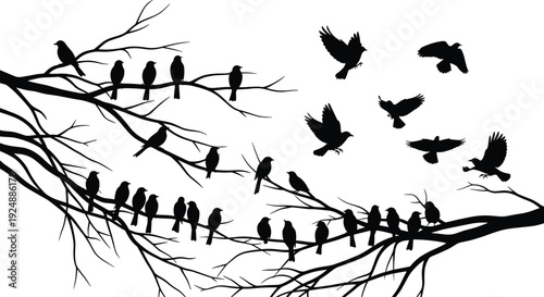 Black silhouette illustration of birds perched on branches and flying, high-contrast nature design capturing stillness and motion