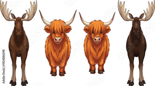 Cartoon illustration of moose and Highland cows standing side by side, symmetrical animal composition showcasing wildlife art and character design