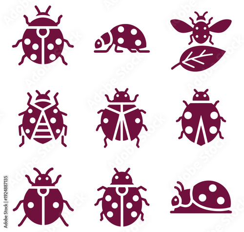 Collection of ladybug and beetle icons in various poses on white background
