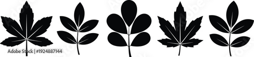 Five black leaf silhouettes in varied botanical shapes, minimalistic decorative nature illustration for plant identification and design