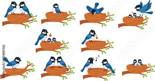 Illustrated bird family life cycle on tree branch nest, nurturing scenes of feeding, incubating, singing chicks, and parental care