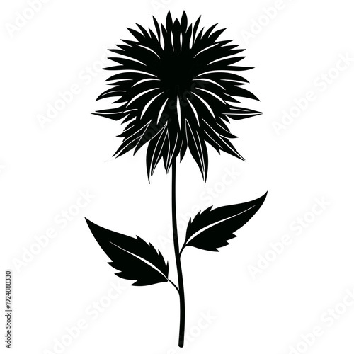  black silhouettes of bee balm petite wonder flower