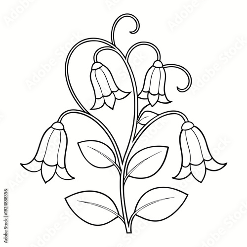 vector illustration of a bells of ireland flower