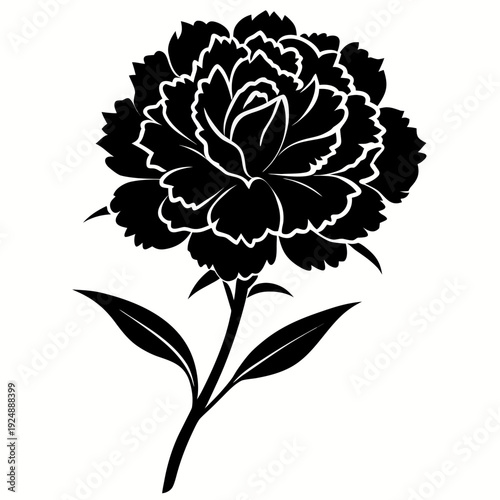 vector illustration of a carnation lower silhouette