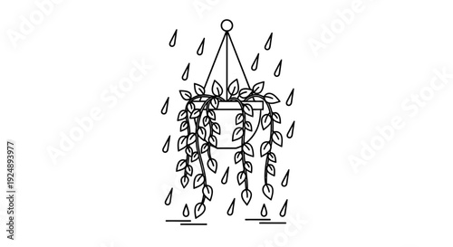 Hanging Potted Plant with Leaves and Water Droplets.