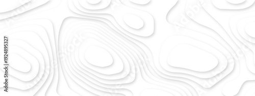 Dynamic topographic design elements forming soft flowing contours. white paper cut abstract layers. contemporary abstract shapes forming seamless layered topographic designs.