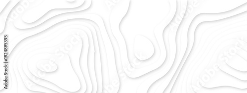Dynamic topographic design elements forming soft flowing contours. white paper cut abstract layers. contemporary abstract shapes forming seamless layered topographic designs.