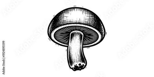 Vintage style mushroom drawing with textured details