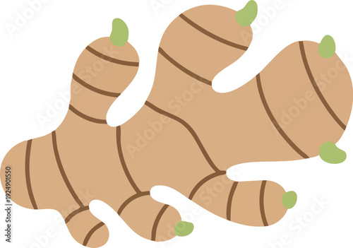 Fresh ginger root with light brown skin and green sprouts.