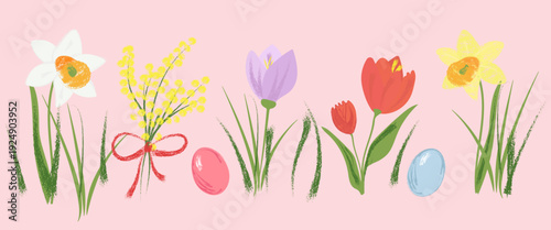  Hand-drawn with pencil, crayon, pen, marker, chalk, or brush spring border with daffodil, tulip, crocus and mimosa flowers with pastel Easter eggs. Crayon style For greeting card, banner, holiday 