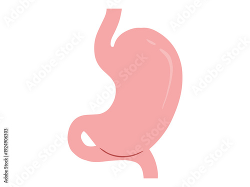 Human Normal Stomach Clip Art
