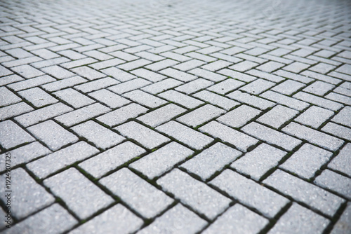 Close-up of Gray Brick Paver Pattern with Diagonal Herringbone Design