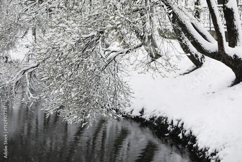 Fotografi Tranquil Snow-Covered Riverbank: Serene Winter Landscape with Frosted Trees and