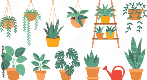 Collection of colorful houseplants in pots and hanging baskets, urban jungle home decor set