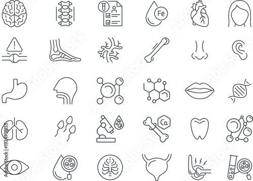 Human body organs and science line icons set.Editable thin line vector of organs, skeleton and body parts for medical vector icons