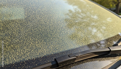 Pollen on car windshield during spring season with sunlight reflection  