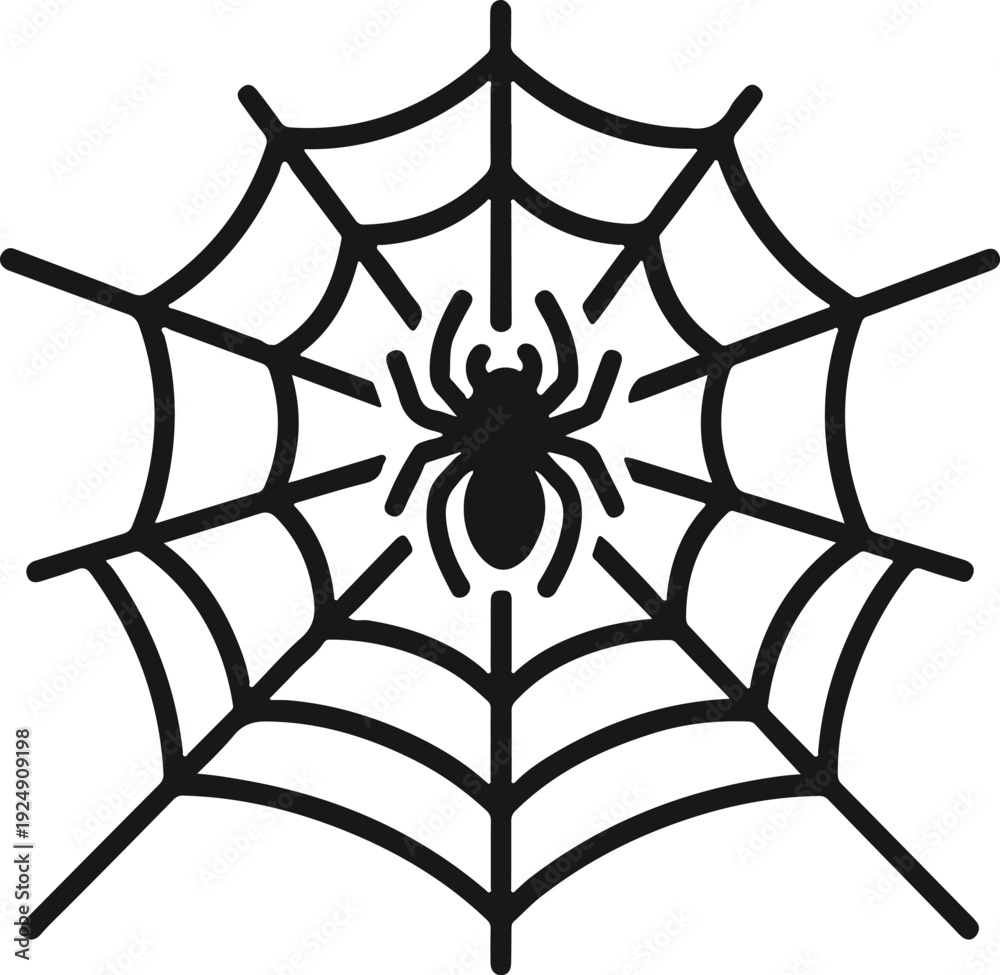 Obraz premium Spider in Web