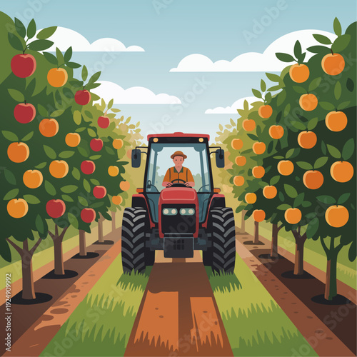 Tractor Driver in Orchard
Flat vector illustration of a tractor driver working between rows of fruit trees in an orchard. Apples or oranges visible. Flat vector style, agricultural diversity theme.