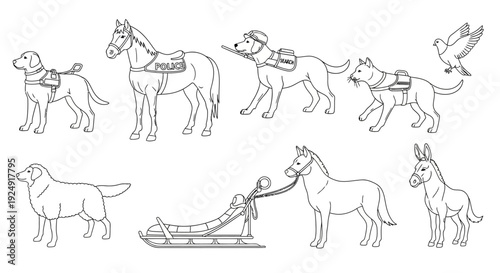 Diverse Working and Service Animals Line Art Collection