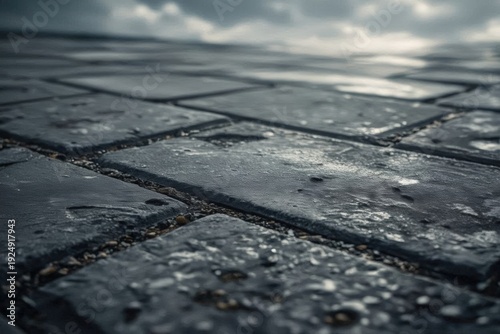 Old paving stones after the rain with light of sun. Lviv, Ukraine