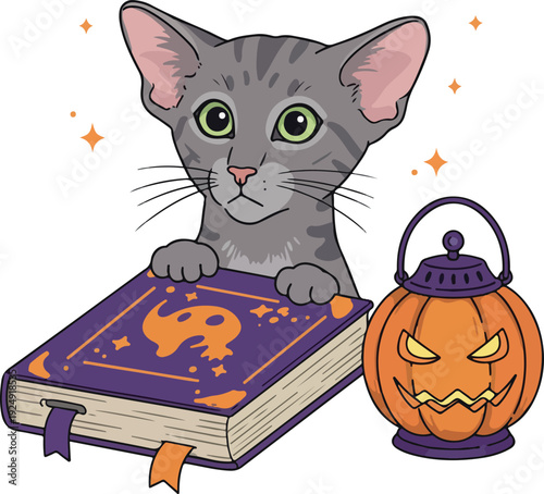 Cute Grey Kitten Reads Spooky Halloween Book Beside Jack O Lantern