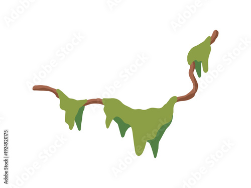Jungle Tree Liana Vine Illustration
