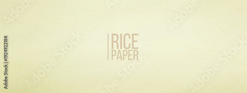 Rice texture craft with japanese white background for grain paper pattern. Korean seamless noise with mulberry rough eco for backdrop fleck wall. Canvas color rice with newspaper japanese.