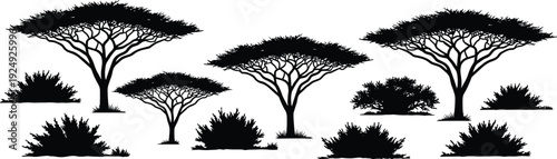 Acacia tree and bush silhouettes, African savanna landscape set, black botanical nature elements, ornamental foliage icons, flat vector illustration