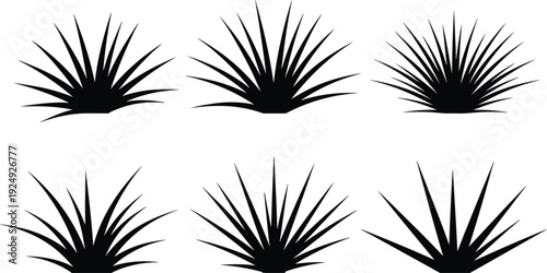 Agave and aloe plant silhouette collection, desert succulent foliage isolated on white background, botanical clipart set, flat vector illustration