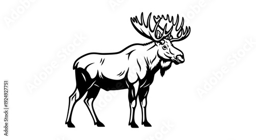 Majestic Bull Moose Standing - Black and White Vector Illustration